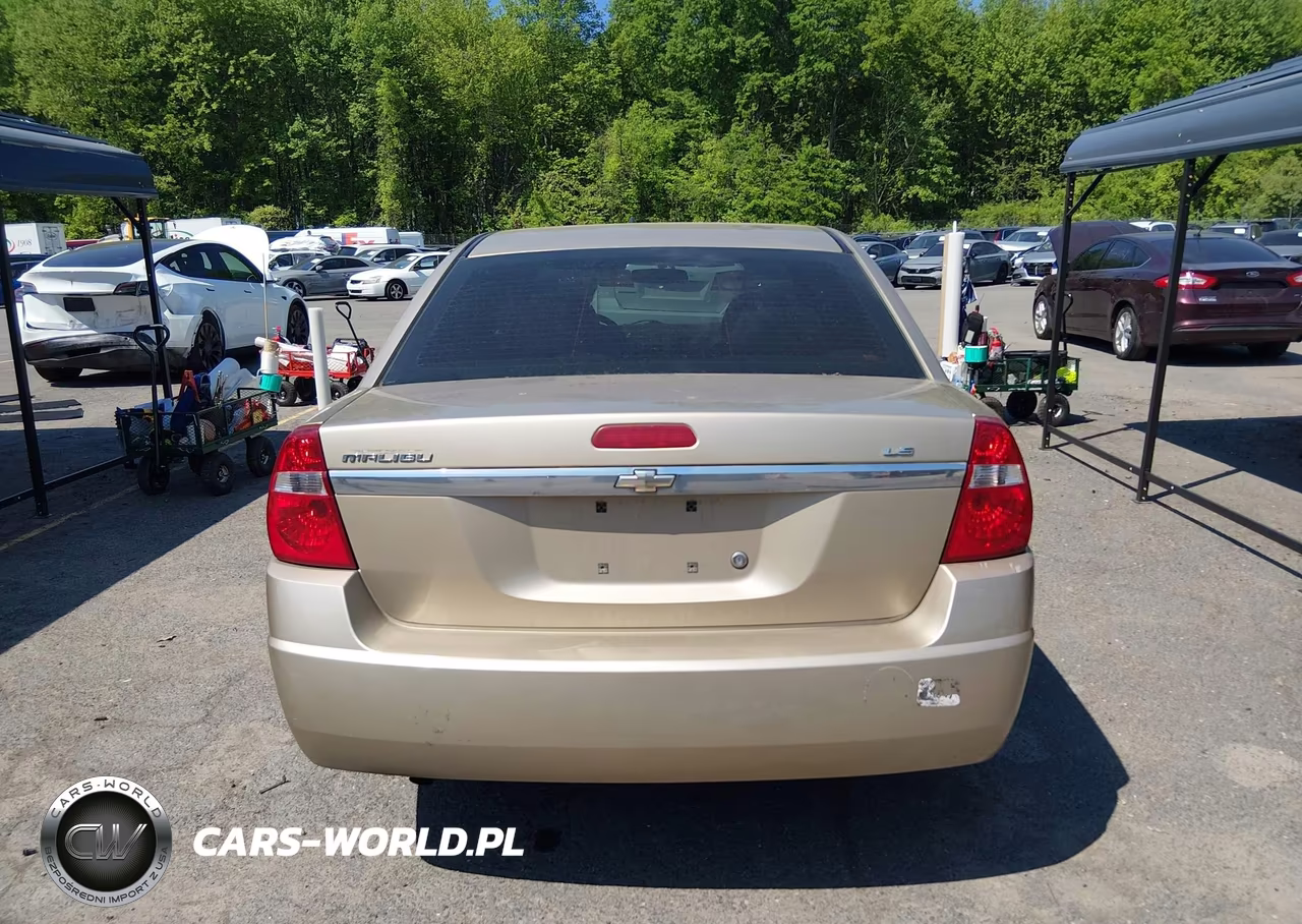 2006 Chevrolet Malibu Ls VIN:1G1ZS51F56F164358 - 16