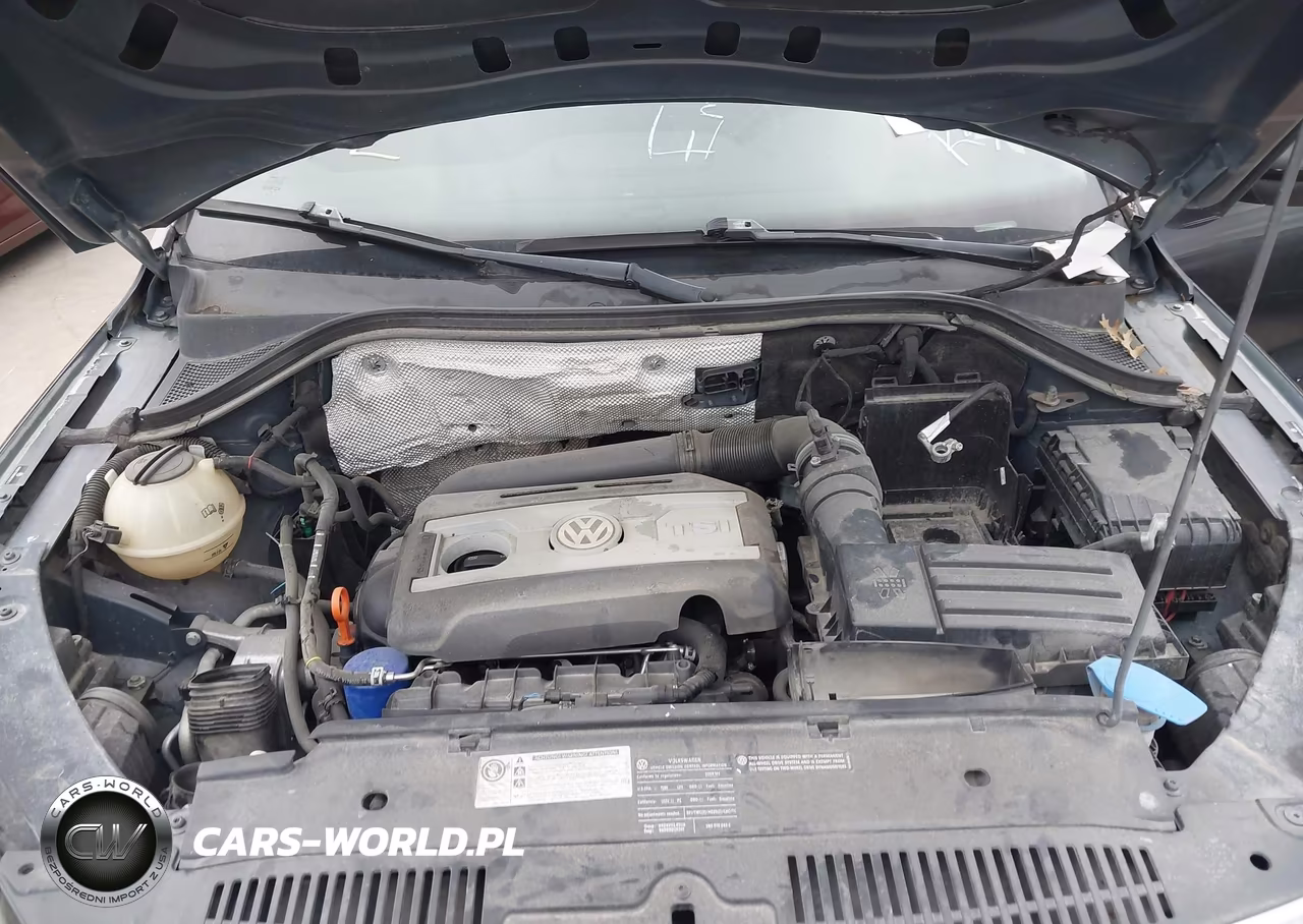 2009 Volkswagen Tiguan Se VIN:WVGBV75N89W526213 - 10