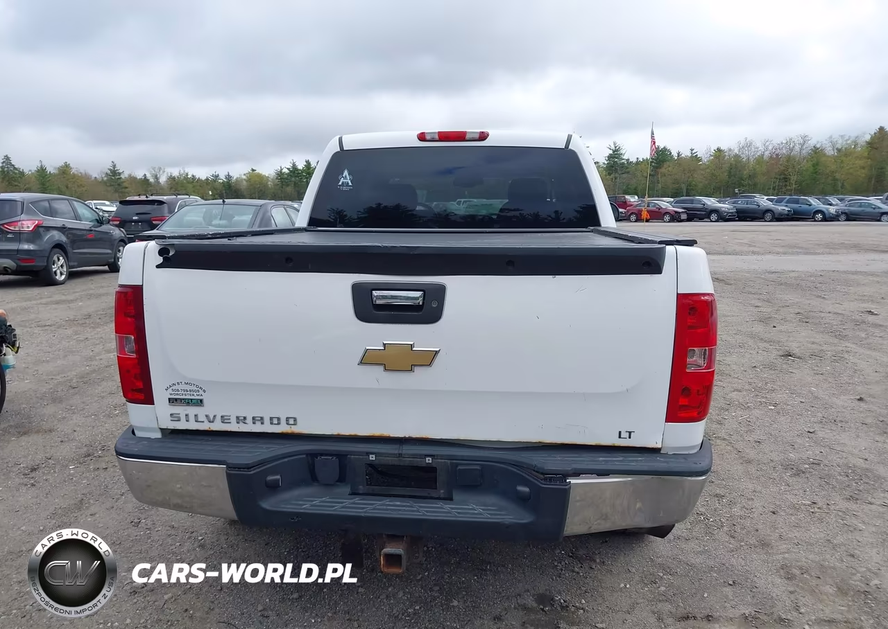 2010 Chevrolet Silverado 1500 Lt VIN:3GCRKSE34AG298789 - 16