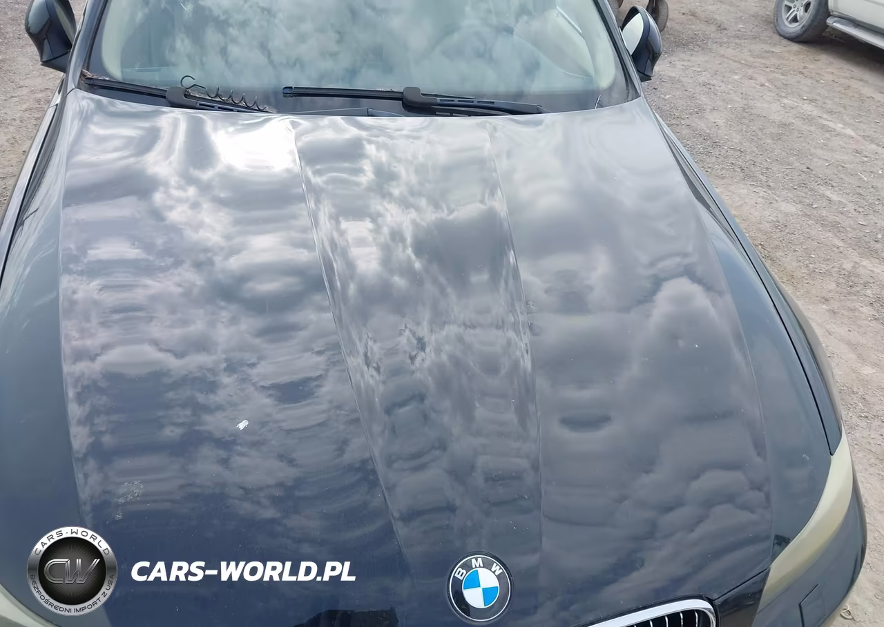 2009 BMW 335I xDrive VIN:WBAPL33599A404403 - 6