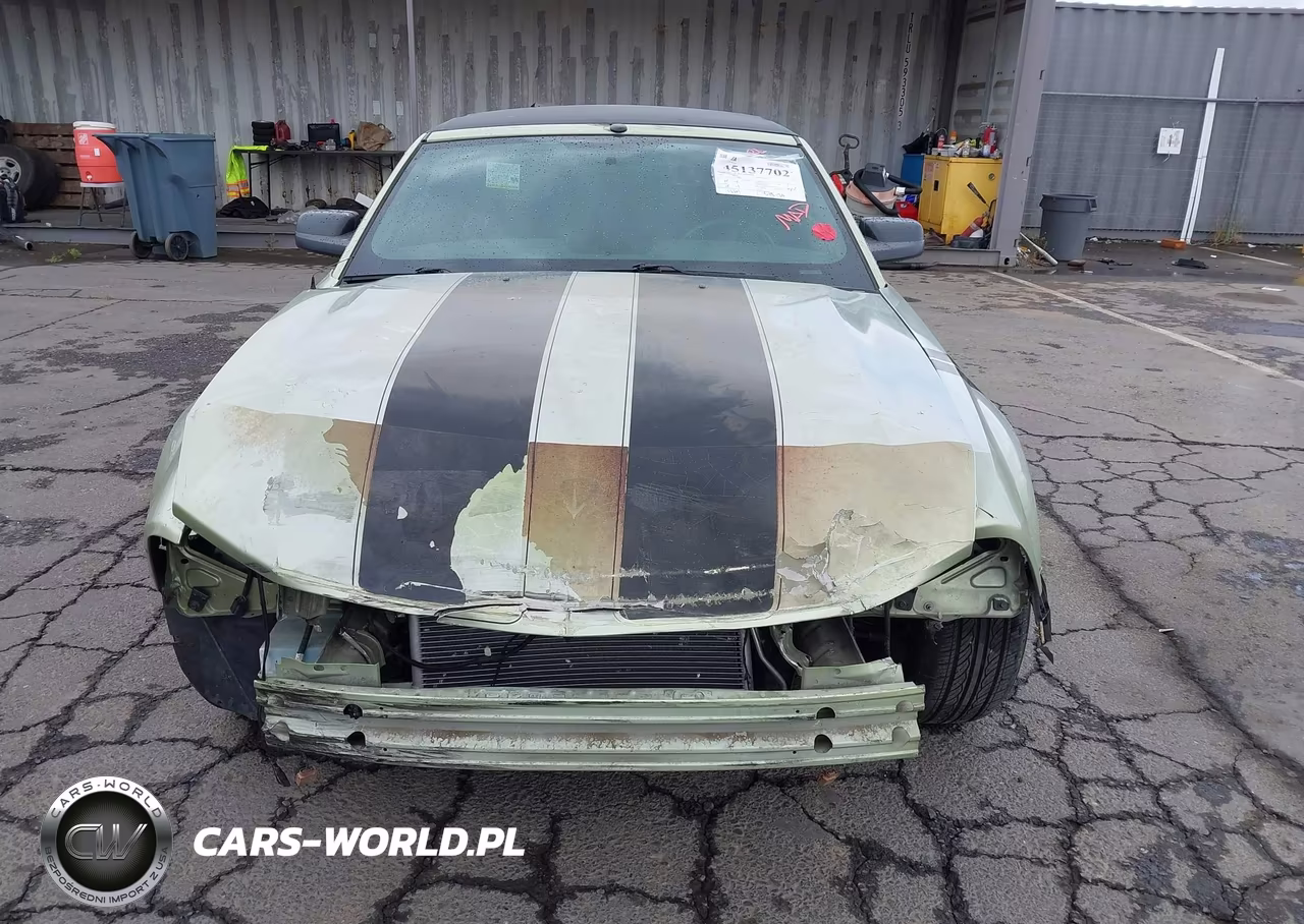 2005 Ford Mustang VIN:1ZVHT84N455198877 - 13