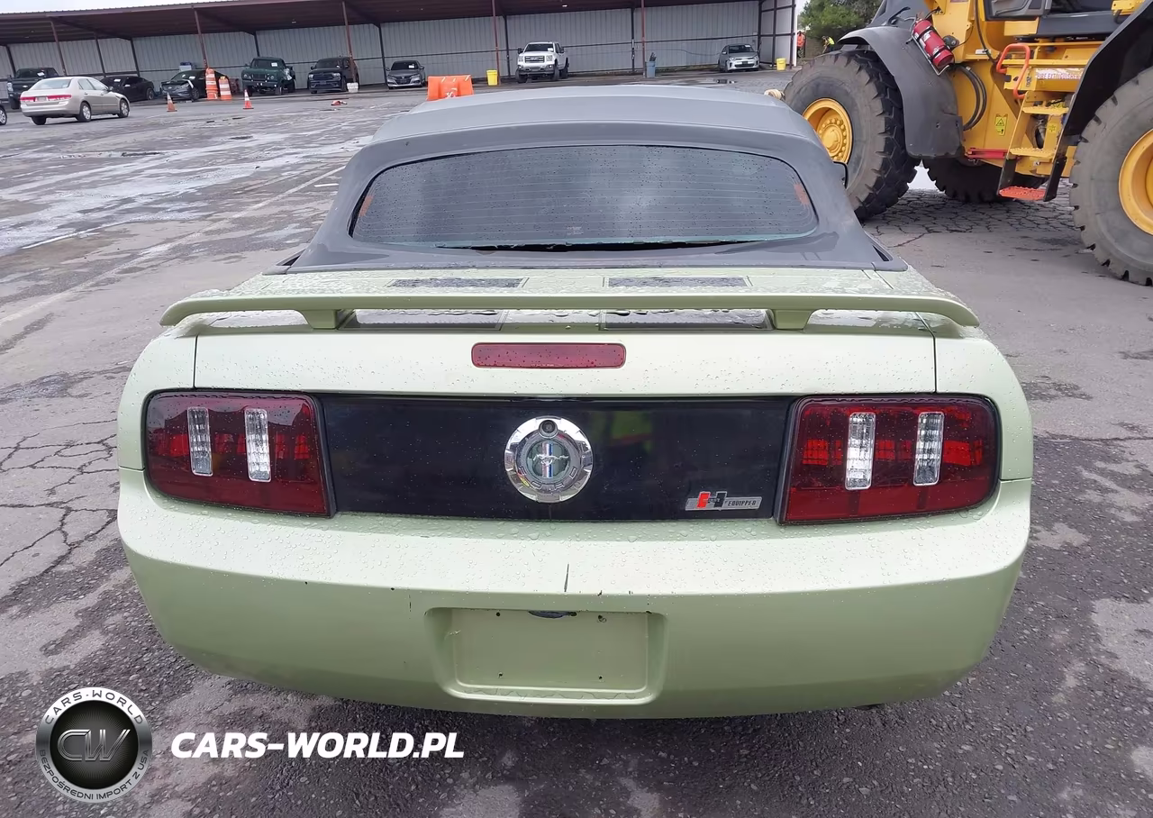 2005 Ford Mustang VIN:1ZVHT84N455198877 - 17