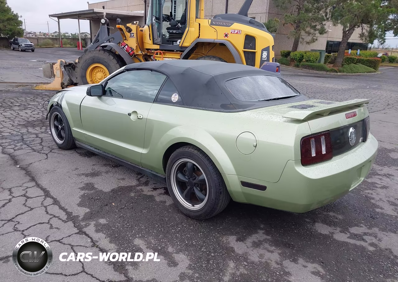 2005 Ford Mustang VIN:1ZVHT84N455198877 - 3