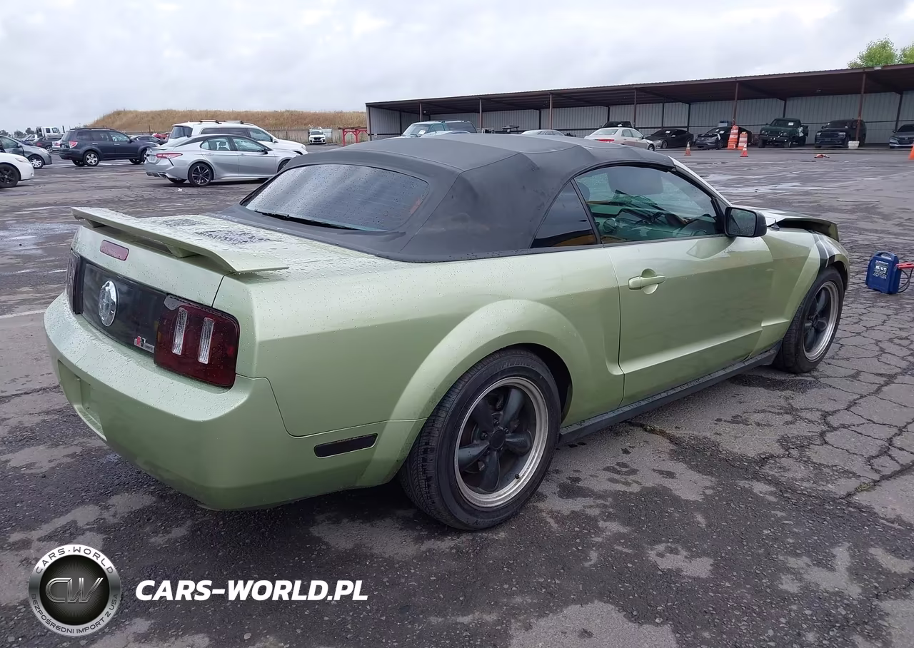 2005 Ford Mustang VIN:1ZVHT84N455198877 - 4