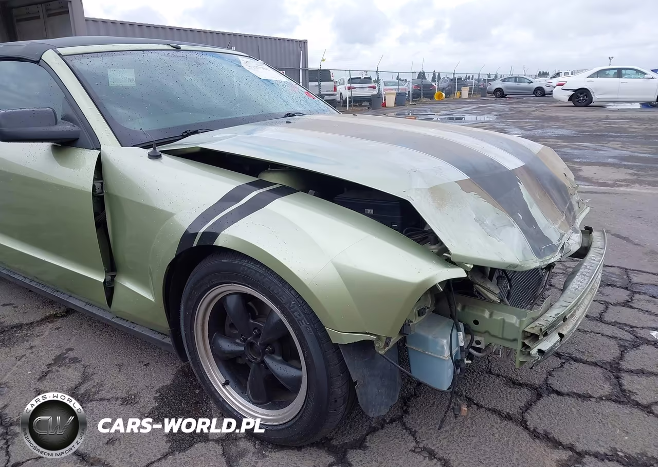 2005 Ford Mustang VIN:1ZVHT84N455198877 - 6