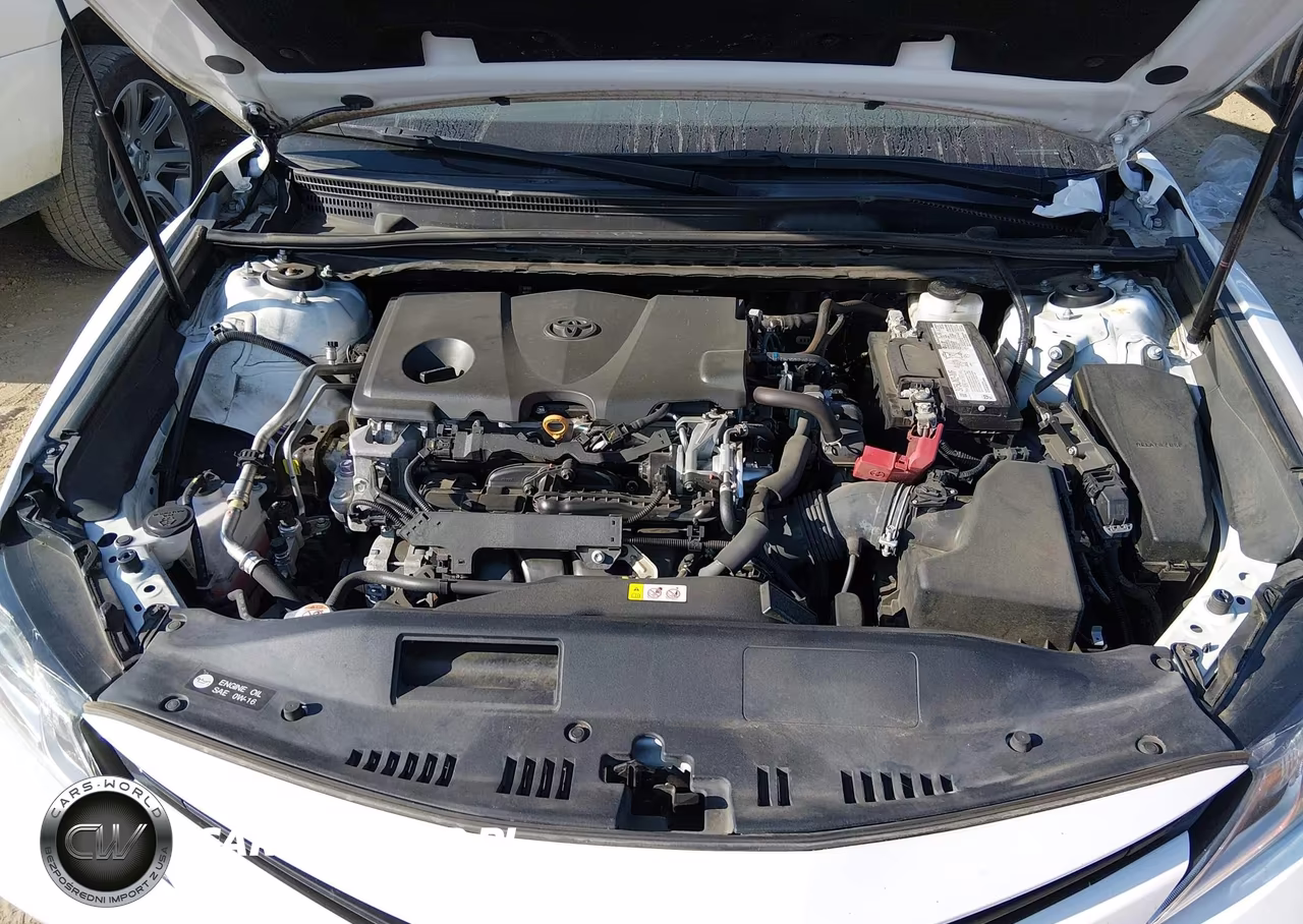 2020 Toyota Camry Le VIN:4T1C11AK8LU947084 - 10