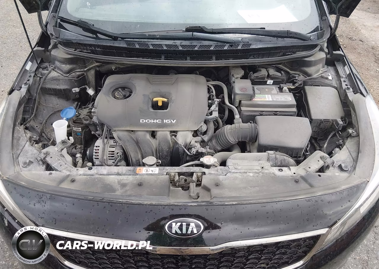 2017 Kia Forte Lx VIN:3KPFK4A70HE058913 - 10