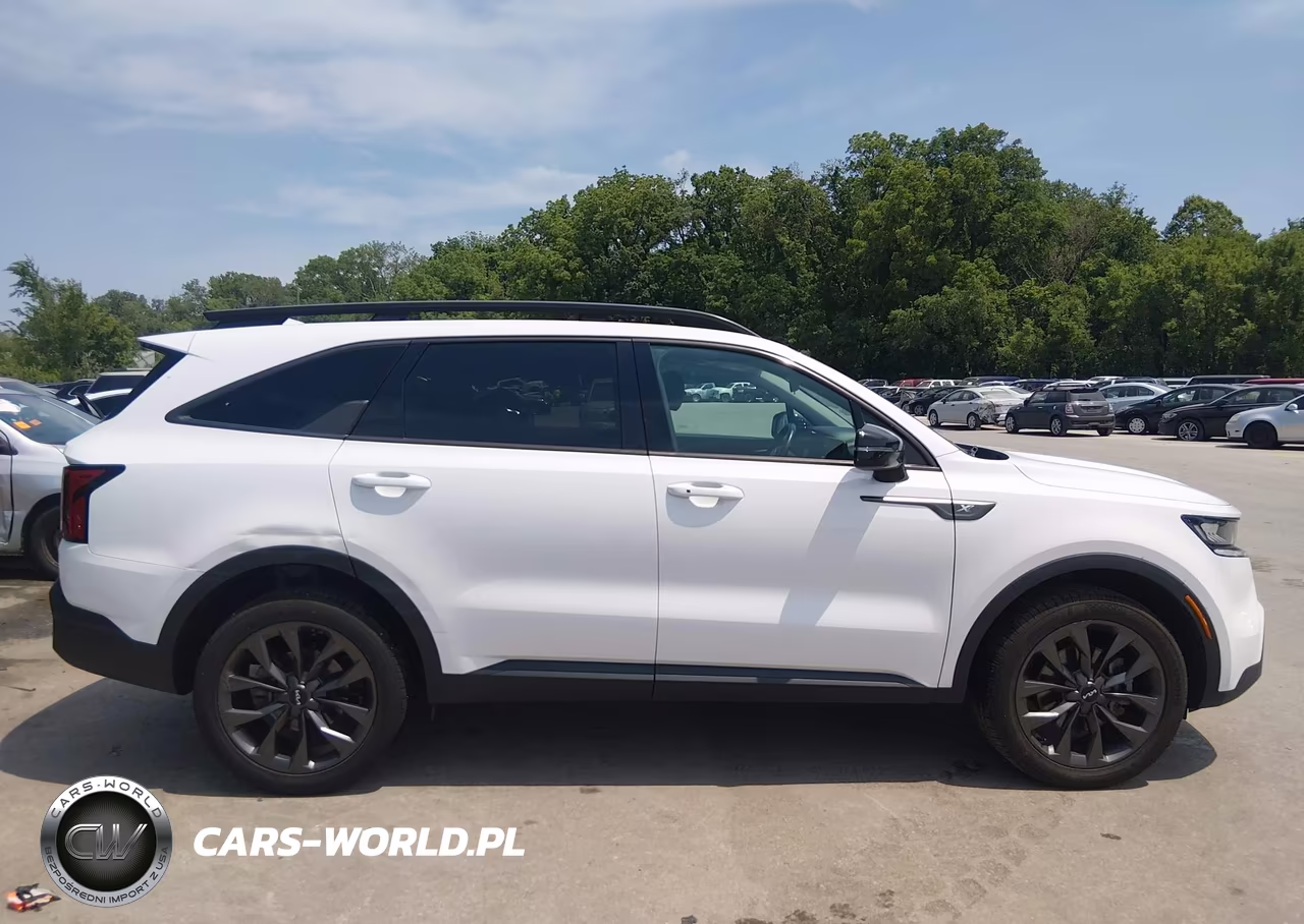 2022 Kia Sorento X-Line Ex VIN:5XYRHDLF9NG134367 - 13