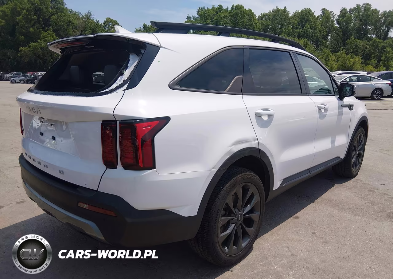 2022 Kia Sorento X-Line Ex VIN:5XYRHDLF9NG134367 - 4