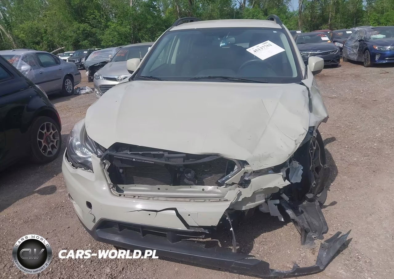 2013 Subaru Xv Crosstrek 2.0I Premium VIN:JF2GPACC9D2846189 - 12
