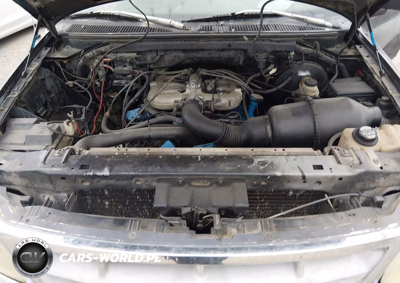 1997 Ford F-150 Standard-Xl-Xlt VIN:1FTDF172XVKD14473 - 10