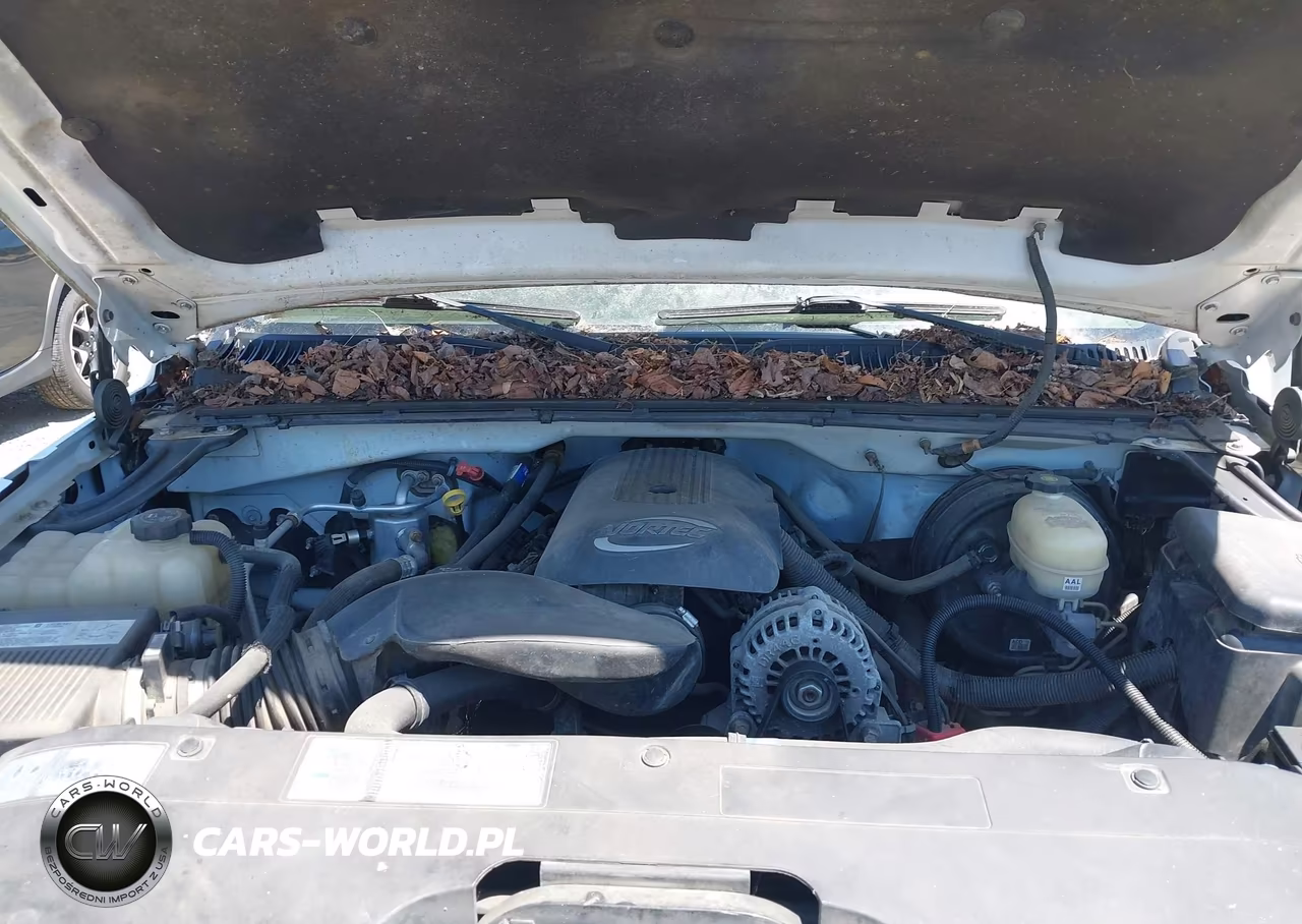 2005 Chevrolet Silverado 1500 Z71 VIN:2GCEK13T351203665 - 10