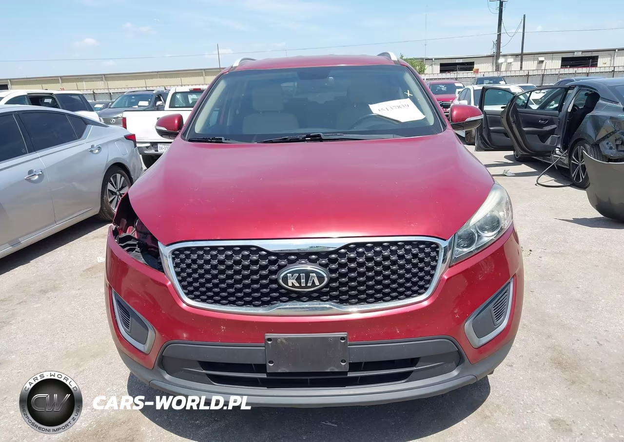 2017 Kia Sorento 2.4L Lx VIN:5XYPG4A39HG282865 - 12
