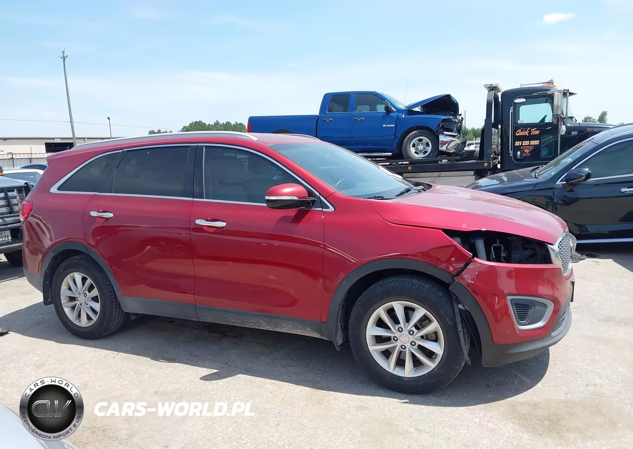 2017 Kia Sorento 2.4L Lx VIN:5XYPG4A39HG282865 - 13