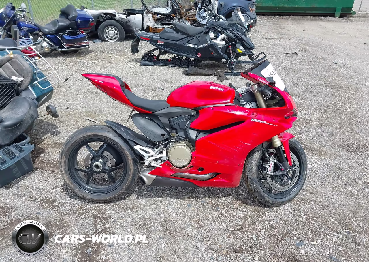 2016 Ducati Superbike 1299 Panigale-S VIN:ZDM14BYWXGB004783 - 12