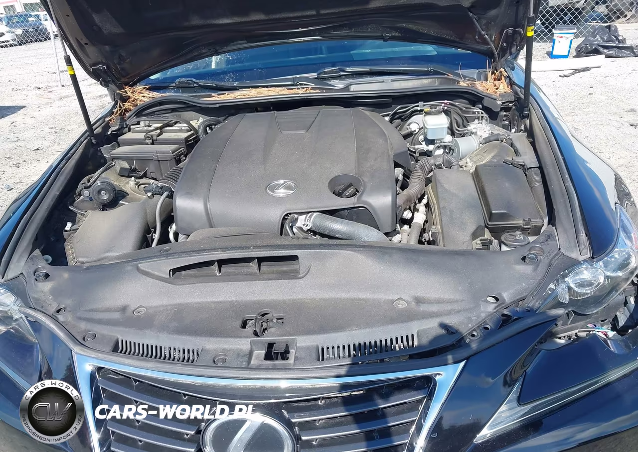 2014 Lexus Is 250 VIN:JTHBF1D21E5025801 - 10