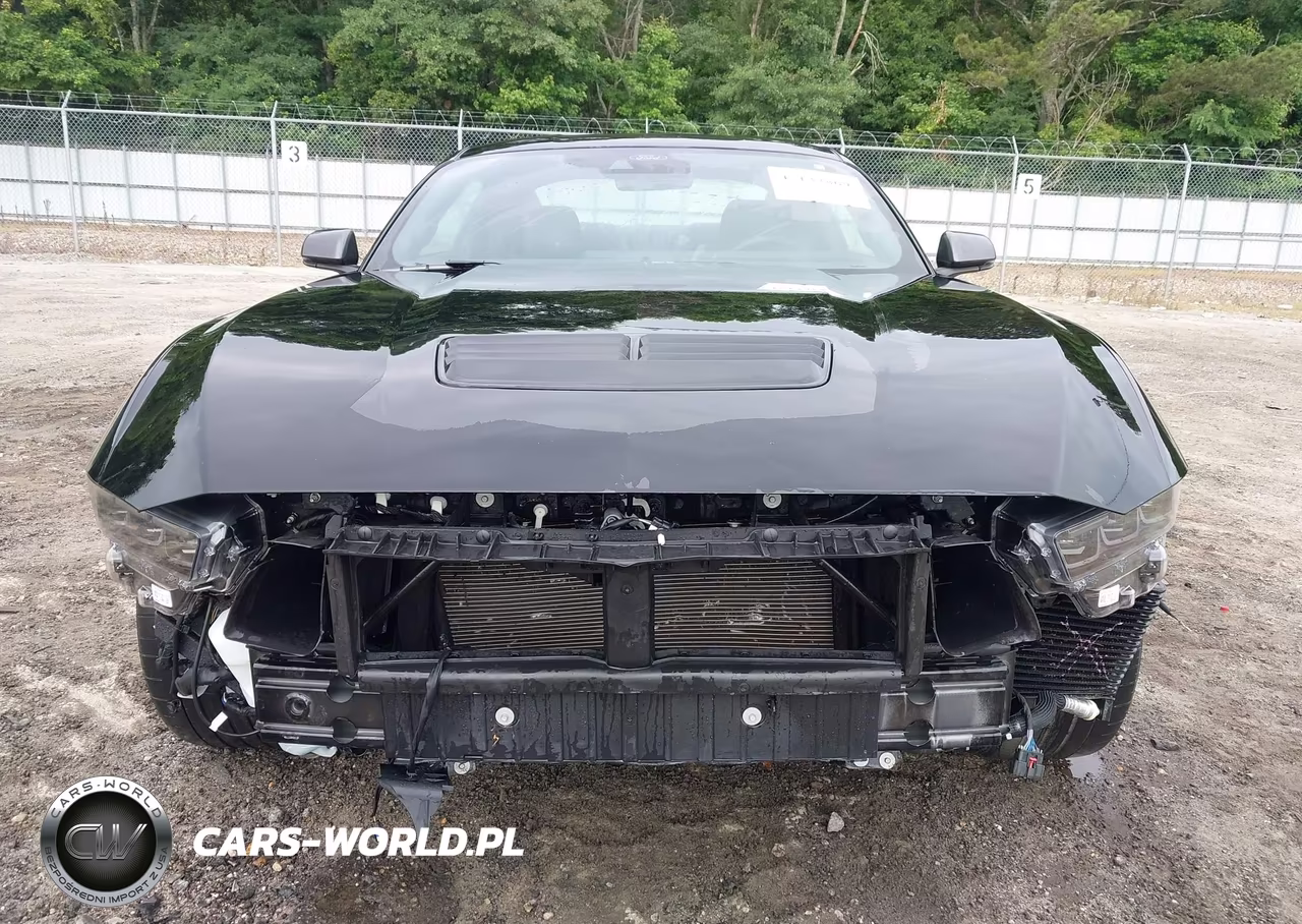 2026 Ford Mustang Dark Horse Fastback VIN:1FA6P8R05T5500904 - 13