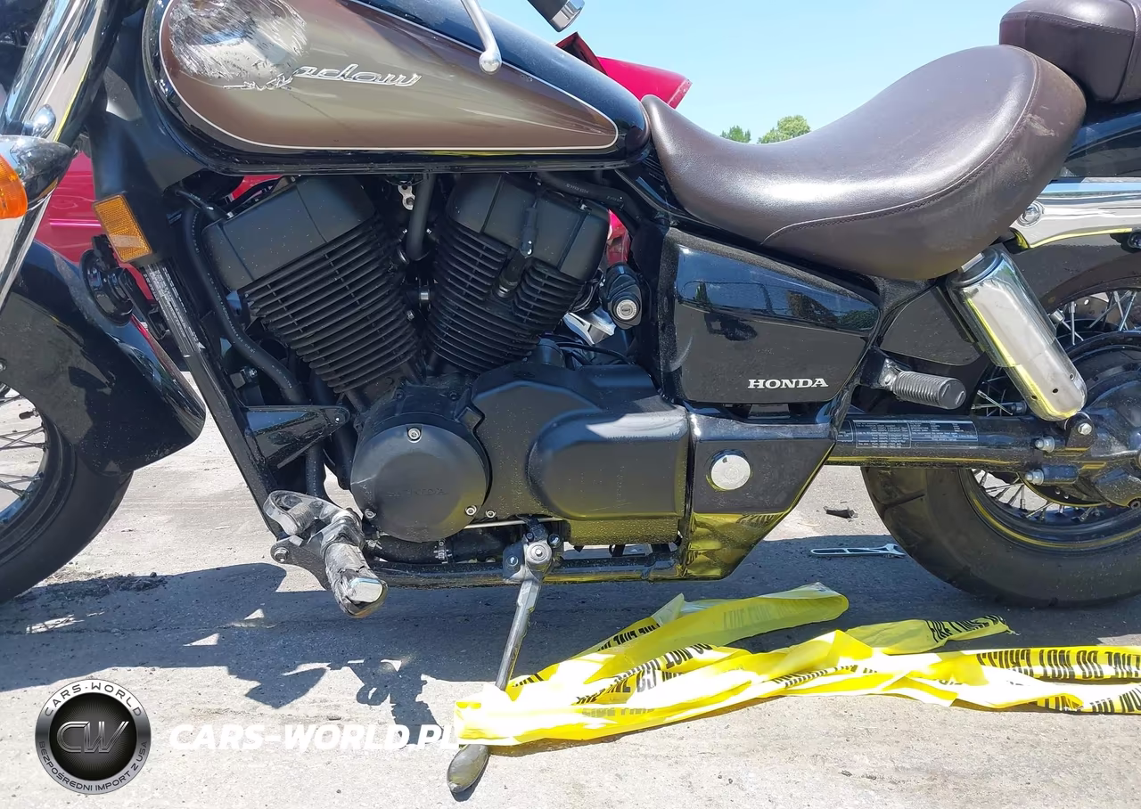 2024 Honda Vt750 C VIN:JH2RC5006RK900261 - 9