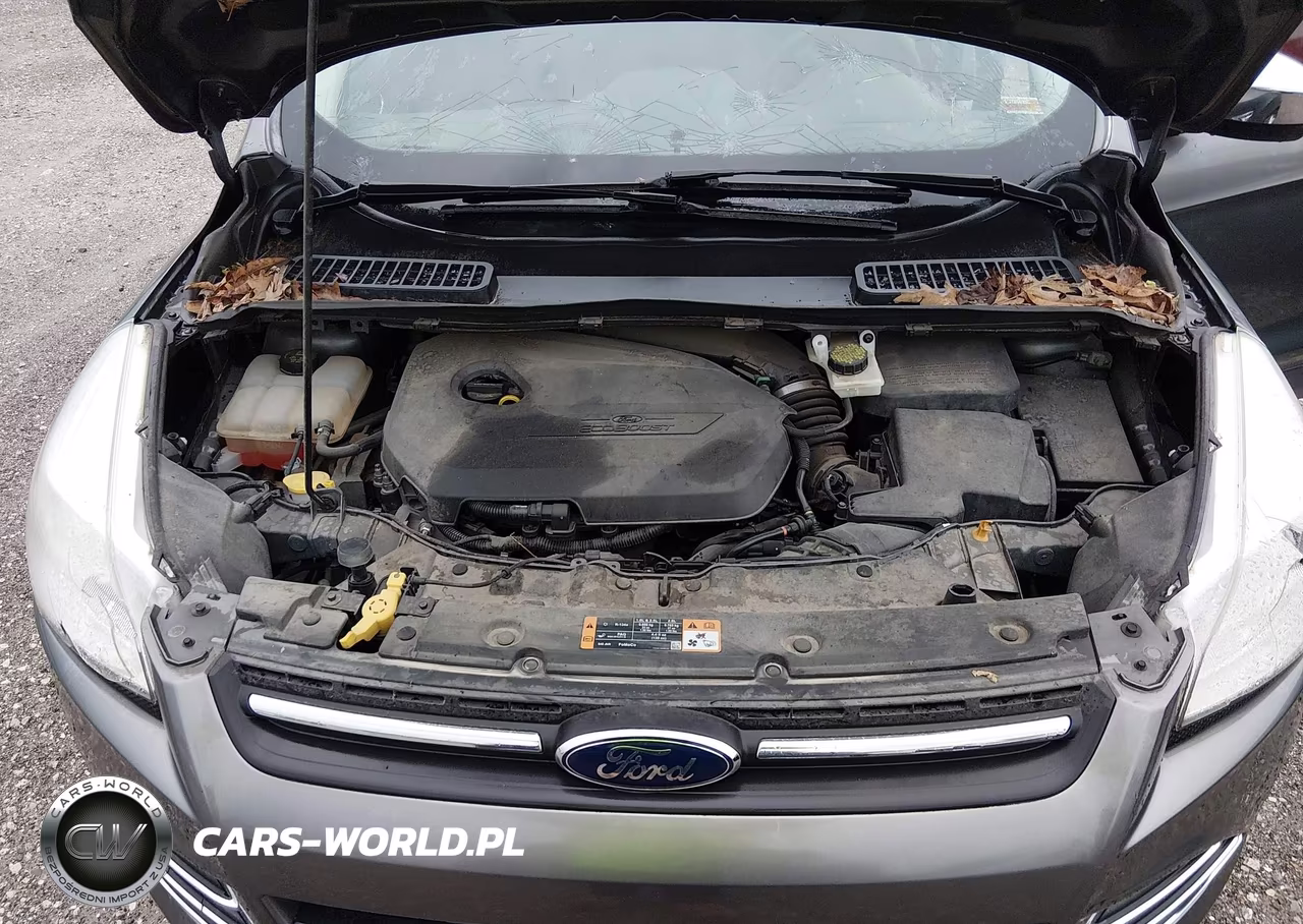 2014 Ford Escape Se VIN:1FMCU0GX3EUE39726 - 10