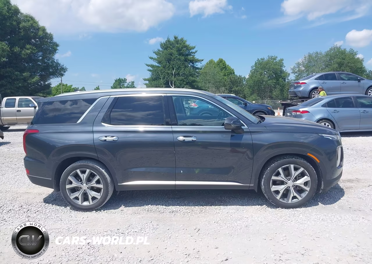 2020 Hyundai Palisade Sel VIN:KM8R44HE0LU084218 - 13