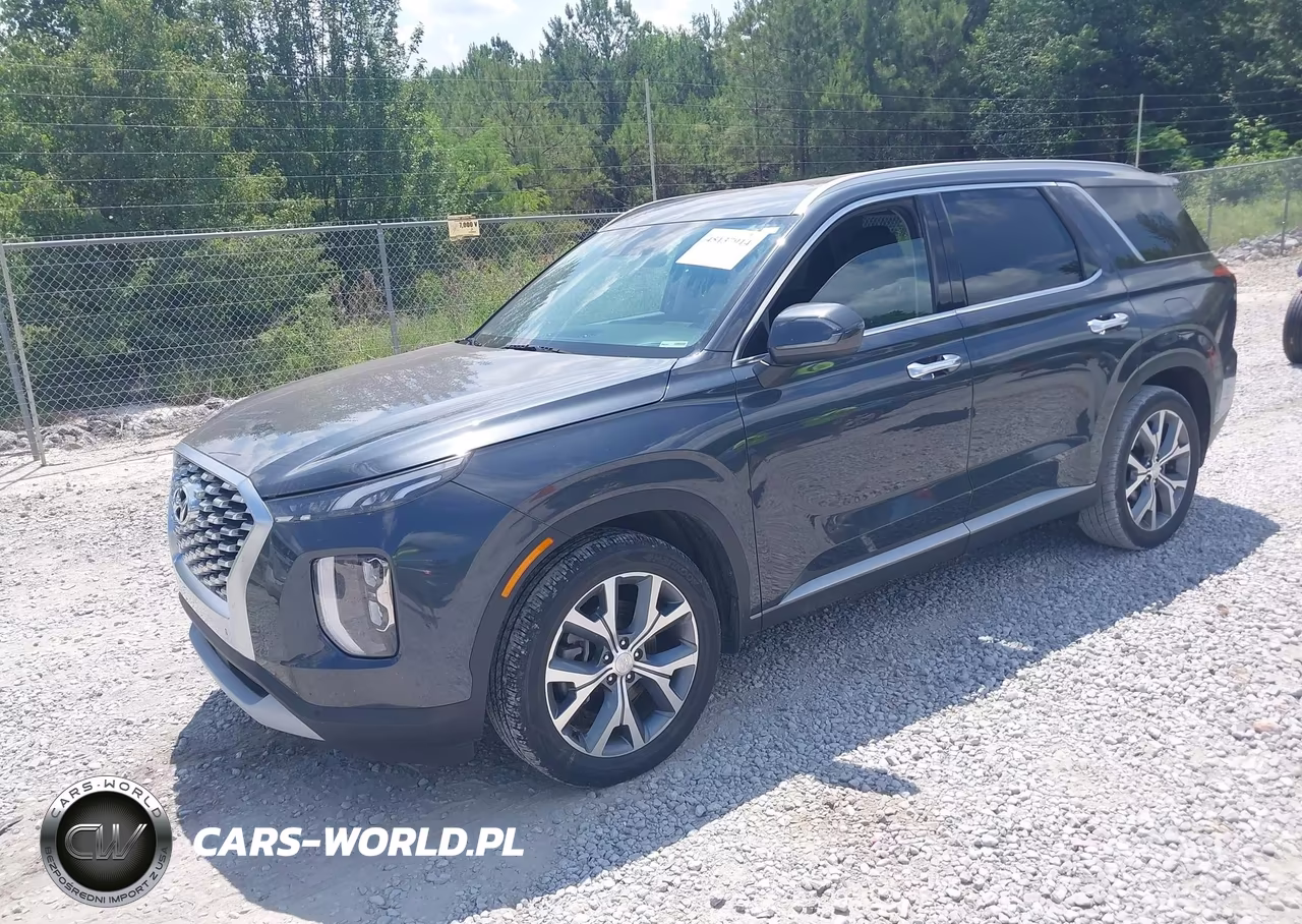 2020 Hyundai Palisade Sel VIN:KM8R44HE0LU084218 - 2