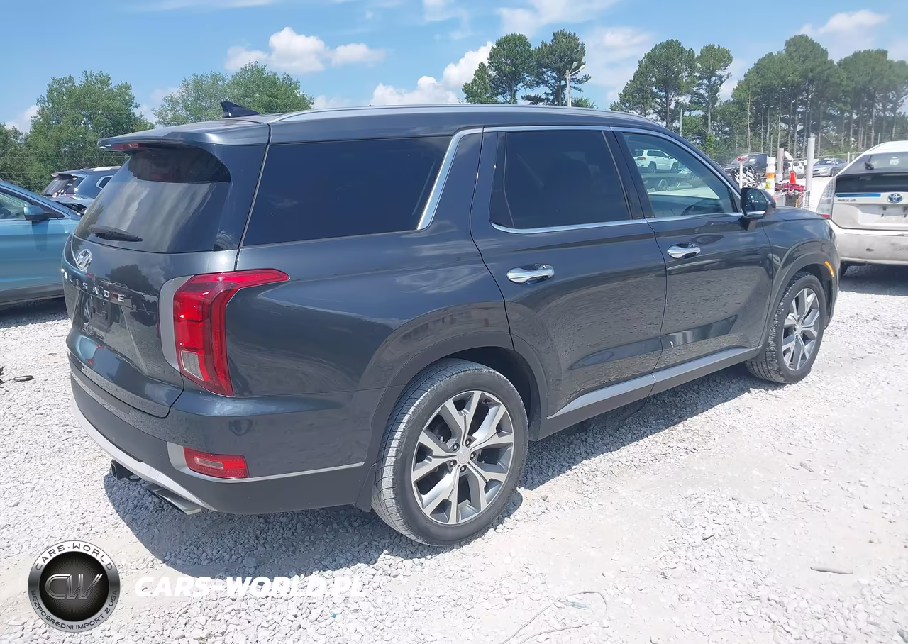 2020 Hyundai Palisade Sel VIN:KM8R44HE0LU084218 - 4
