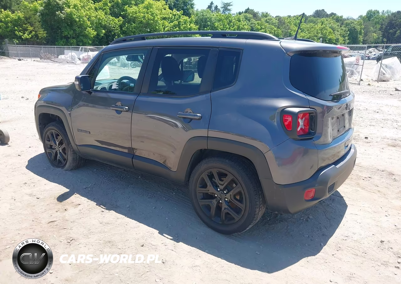 2019 Jeep Renegade Altitude Fwd VIN:ZACNJABB0KPK00412 - 3