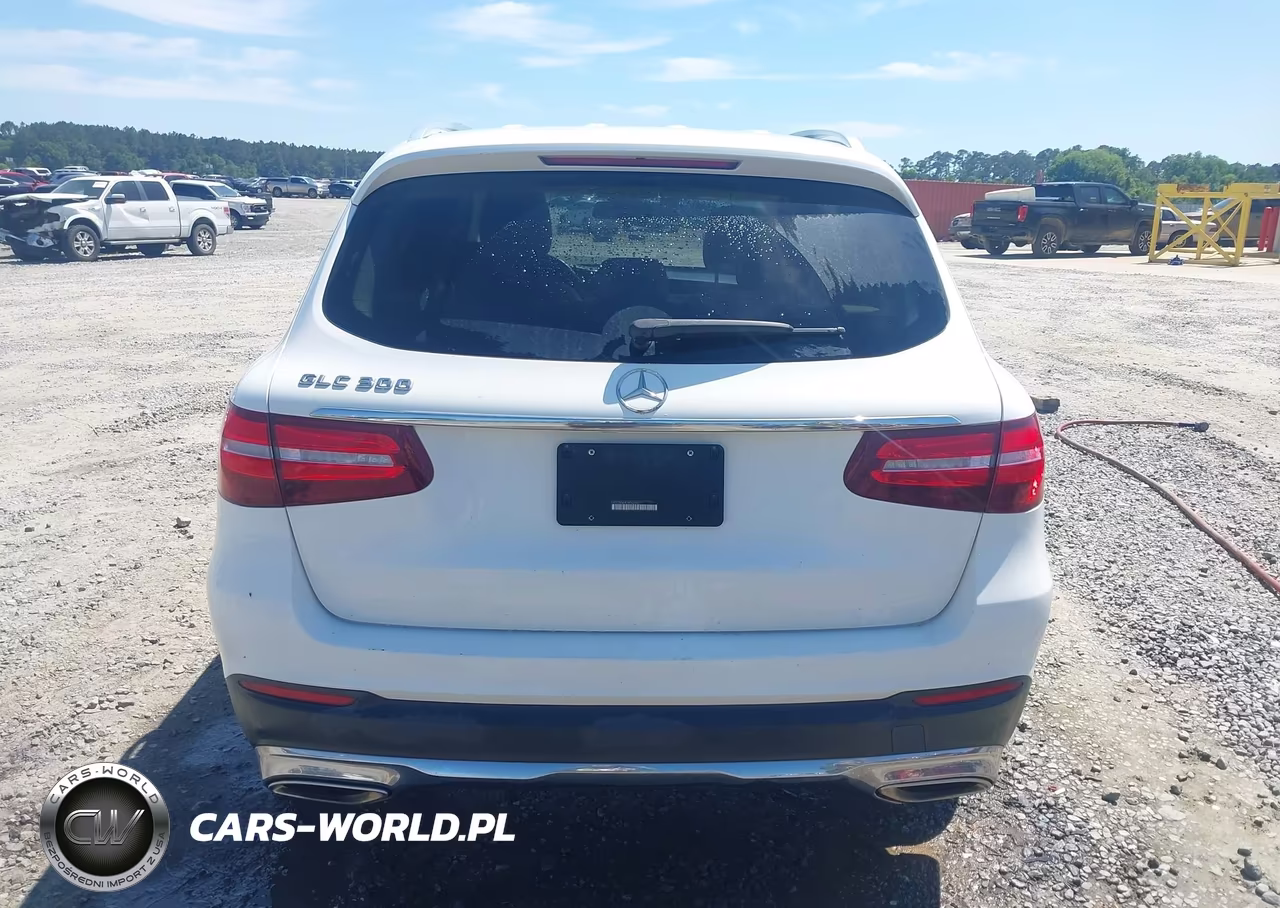 2019 Mercedes-Benz Glc 300 VIN:WDC0G4JB1KF620627 - 17
