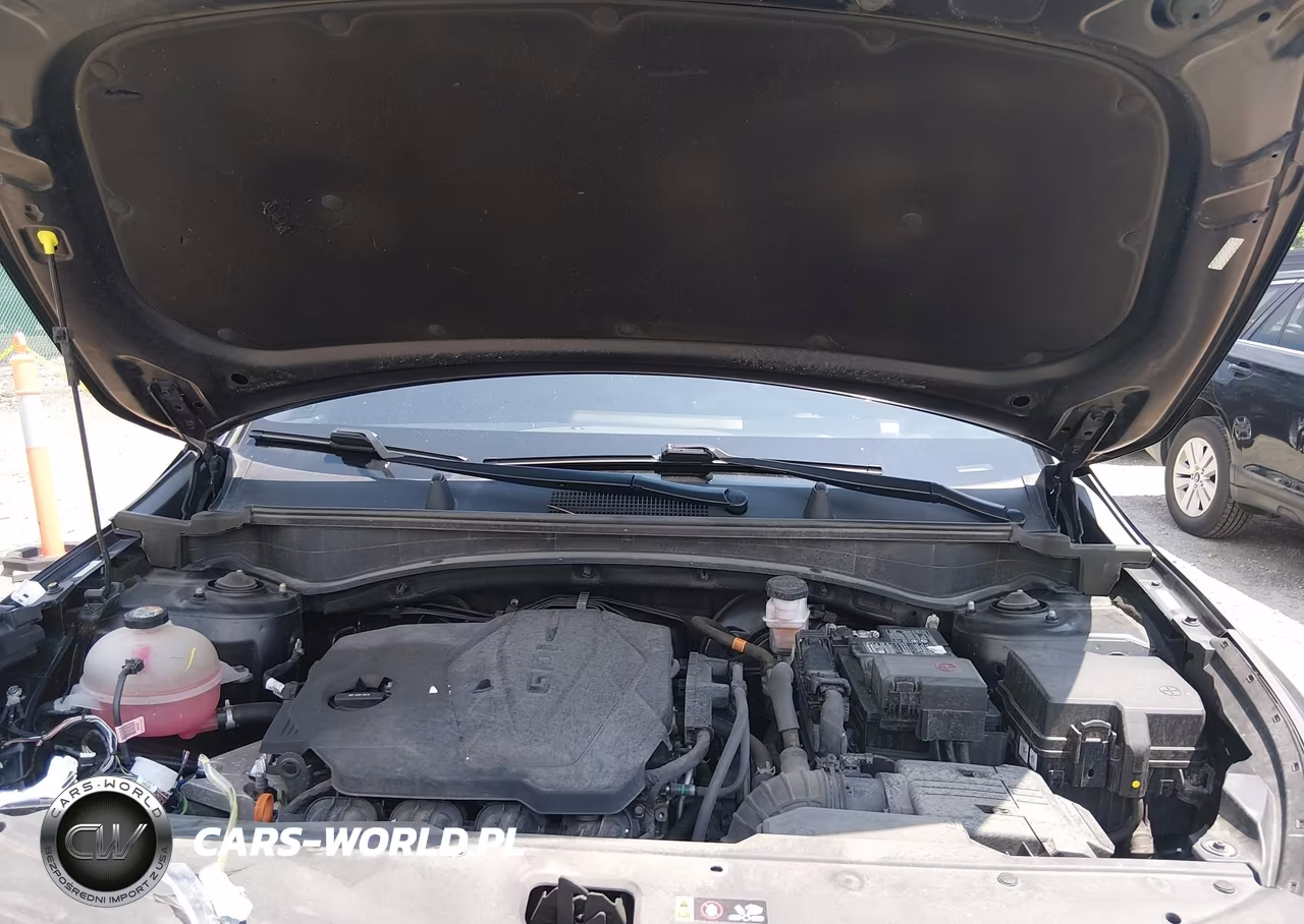 2023 Kia Sportage X Line VIN:5XYK6CAF6PG014582 - 10