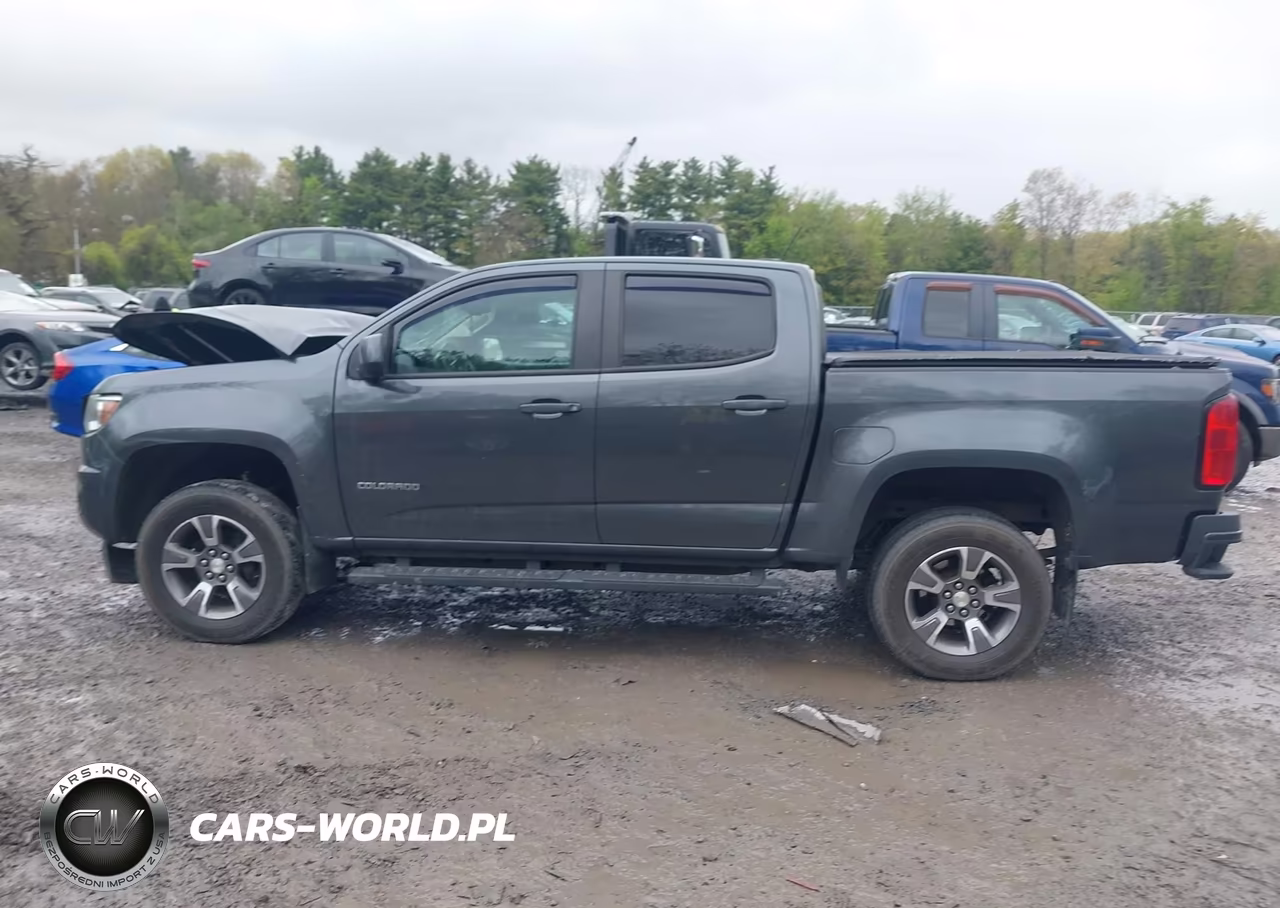 2016 Chevrolet Colorado Z71 VIN:1GCGTDE36G1235524 - 14