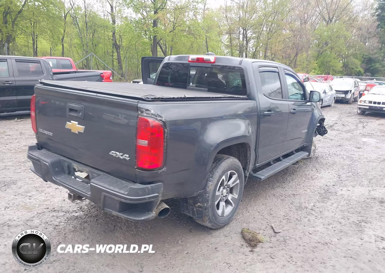 2016 Chevrolet Colorado Z71 VIN:1GCGTDE36G1235524 - 4