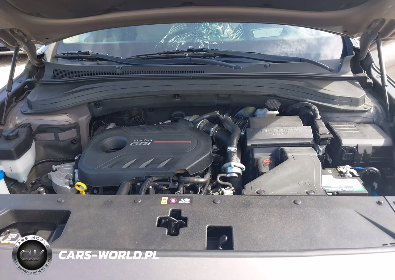 2020 Hyundai Santa Fe Limited 2.0T VIN:5NMS53AA3LH223155 - 10
