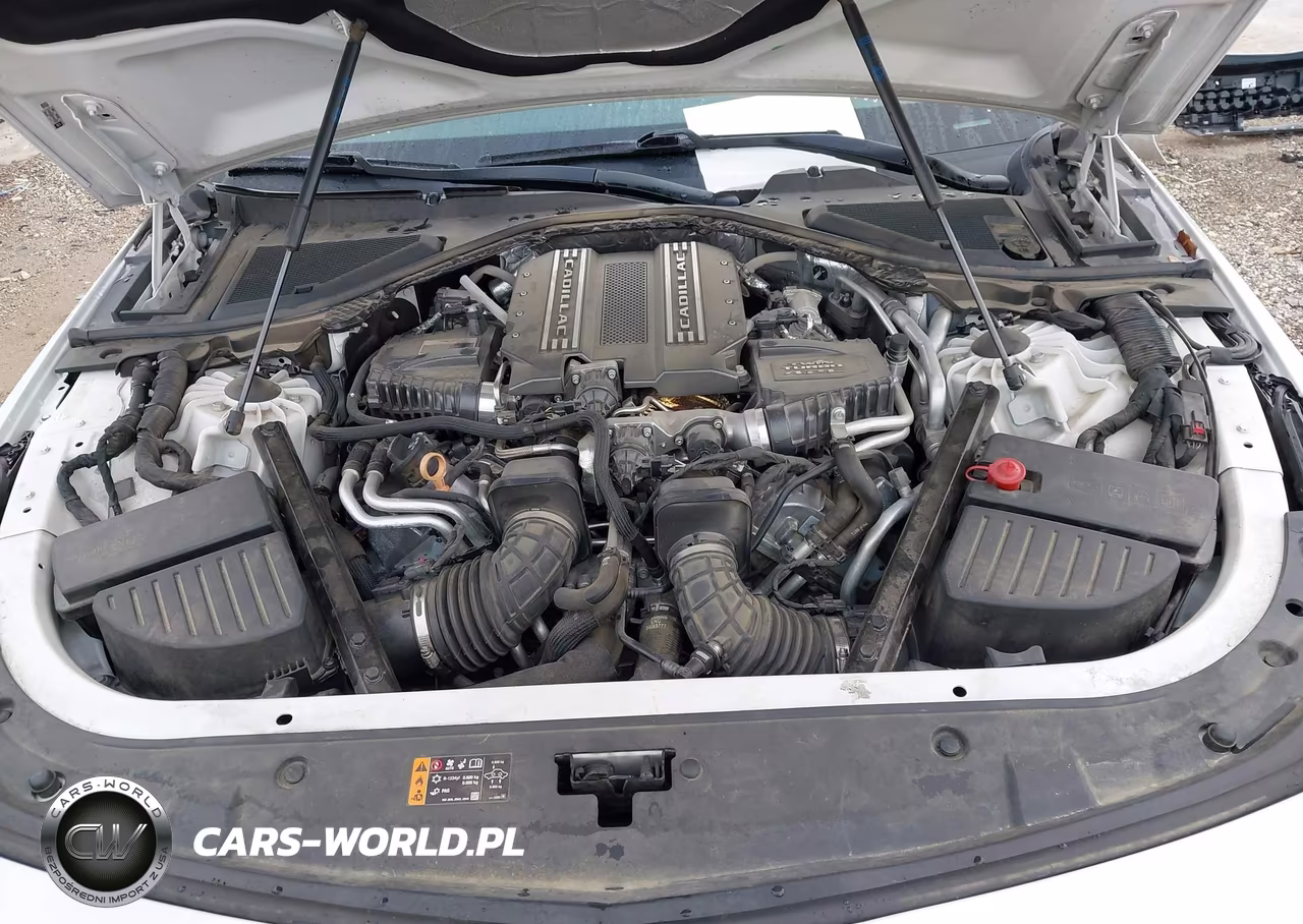 2019 Cadillac Ct6 Platinum VIN:1G6KV5RJ7KU142119 - 10