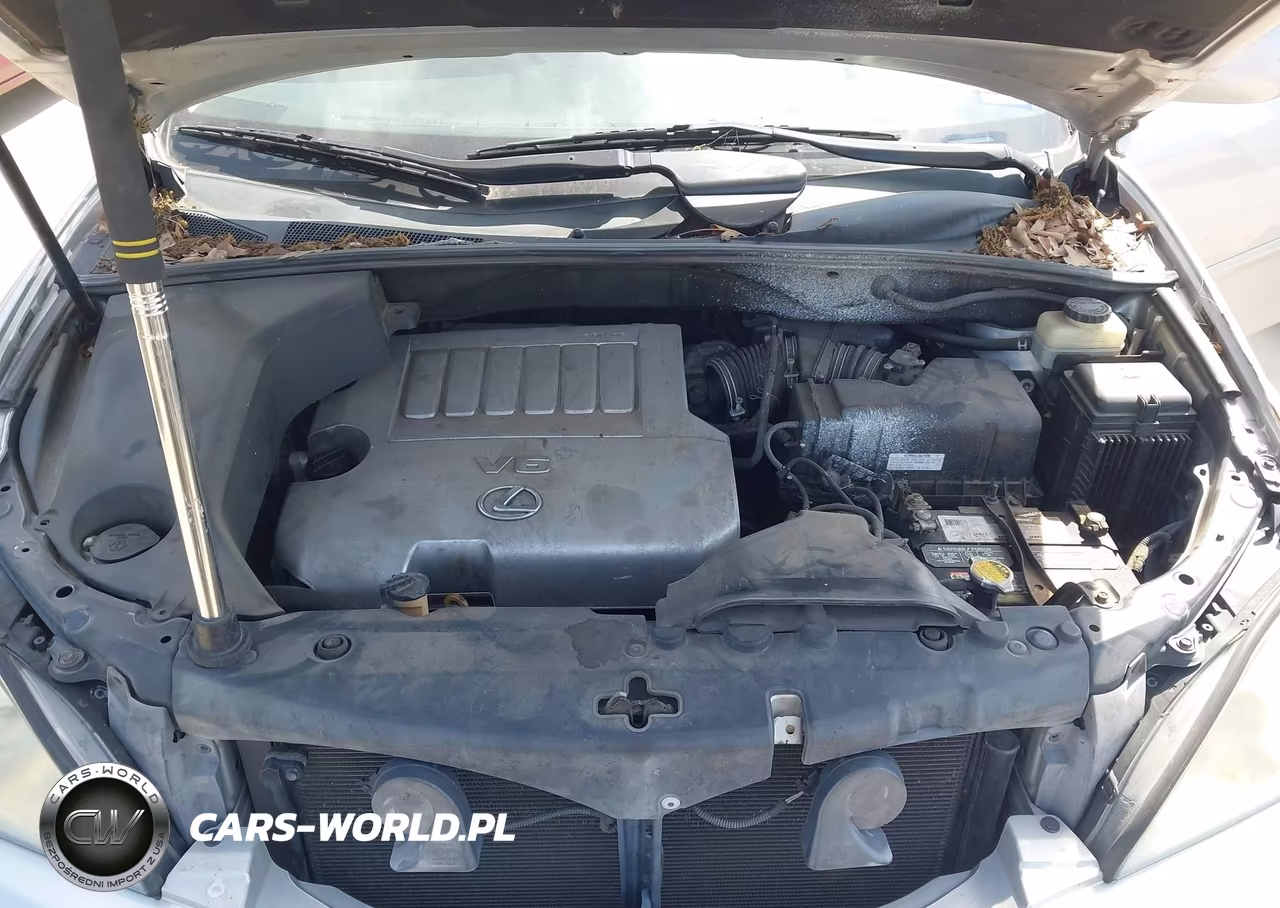 2009 Lexus Rx 350 VIN:2T2GK31U49C069722 - 10