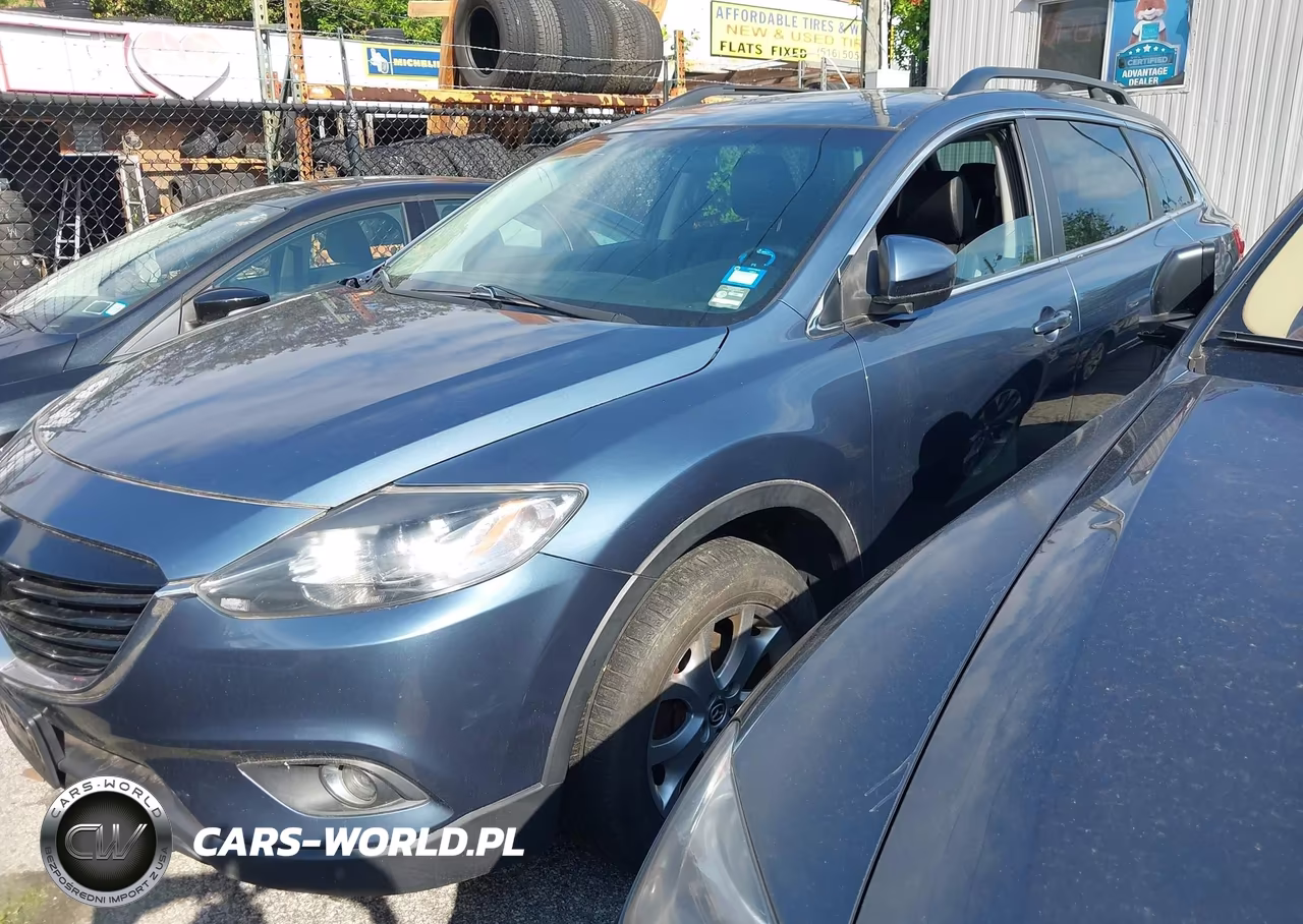 2014 Mazda Cx-9 Touring VIN:JM3TB3CV2E0431972 - 6