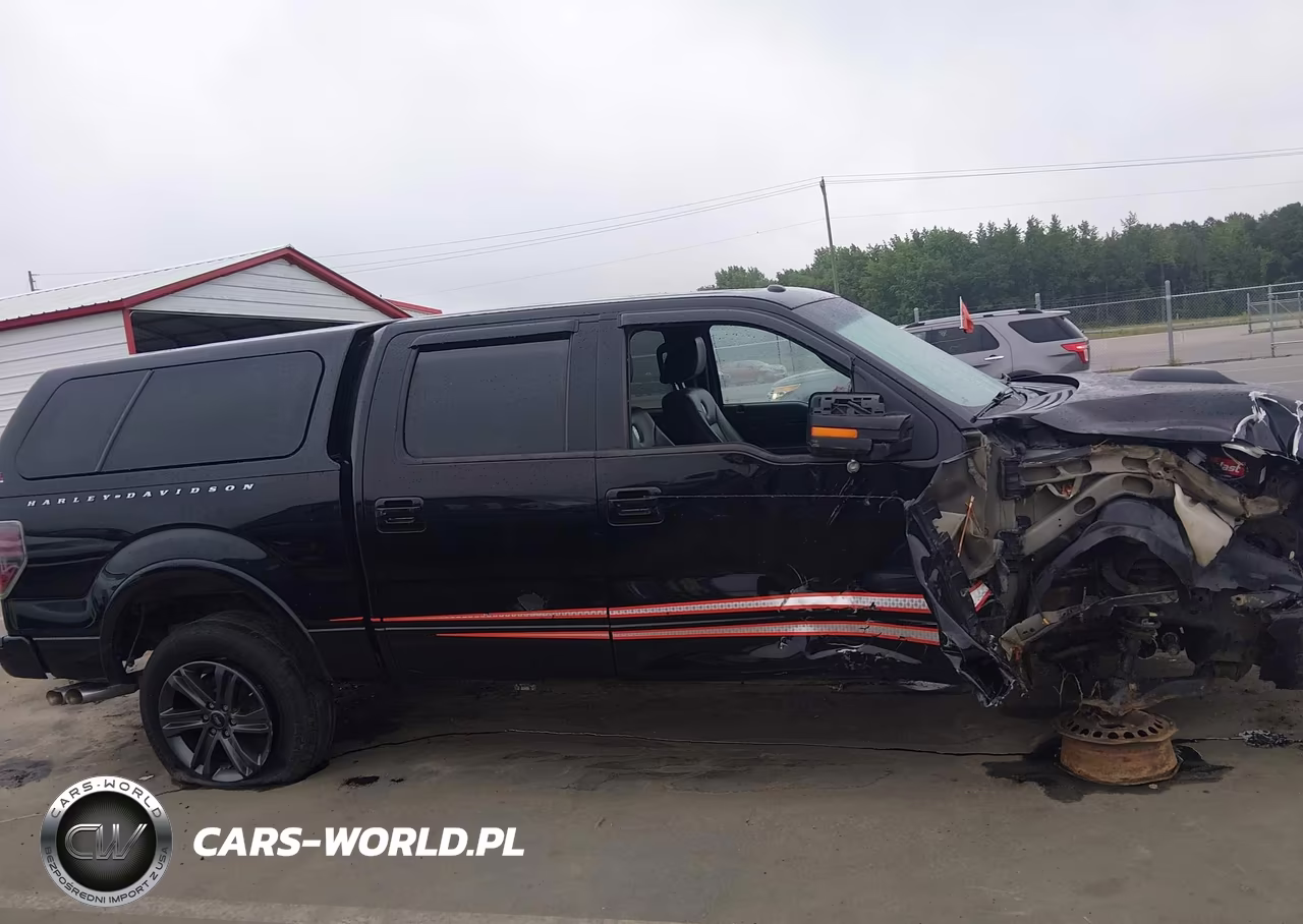 2011 Ford F150 Supercrew VIN:1FTFW1E65BFC87461 - 13