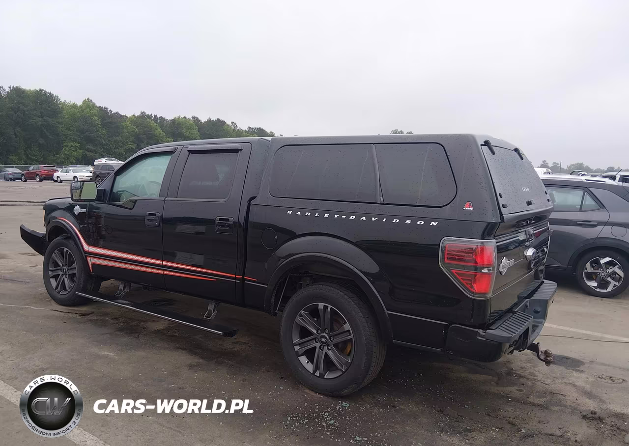 2011 Ford F150 Supercrew VIN:1FTFW1E65BFC87461 - 3
