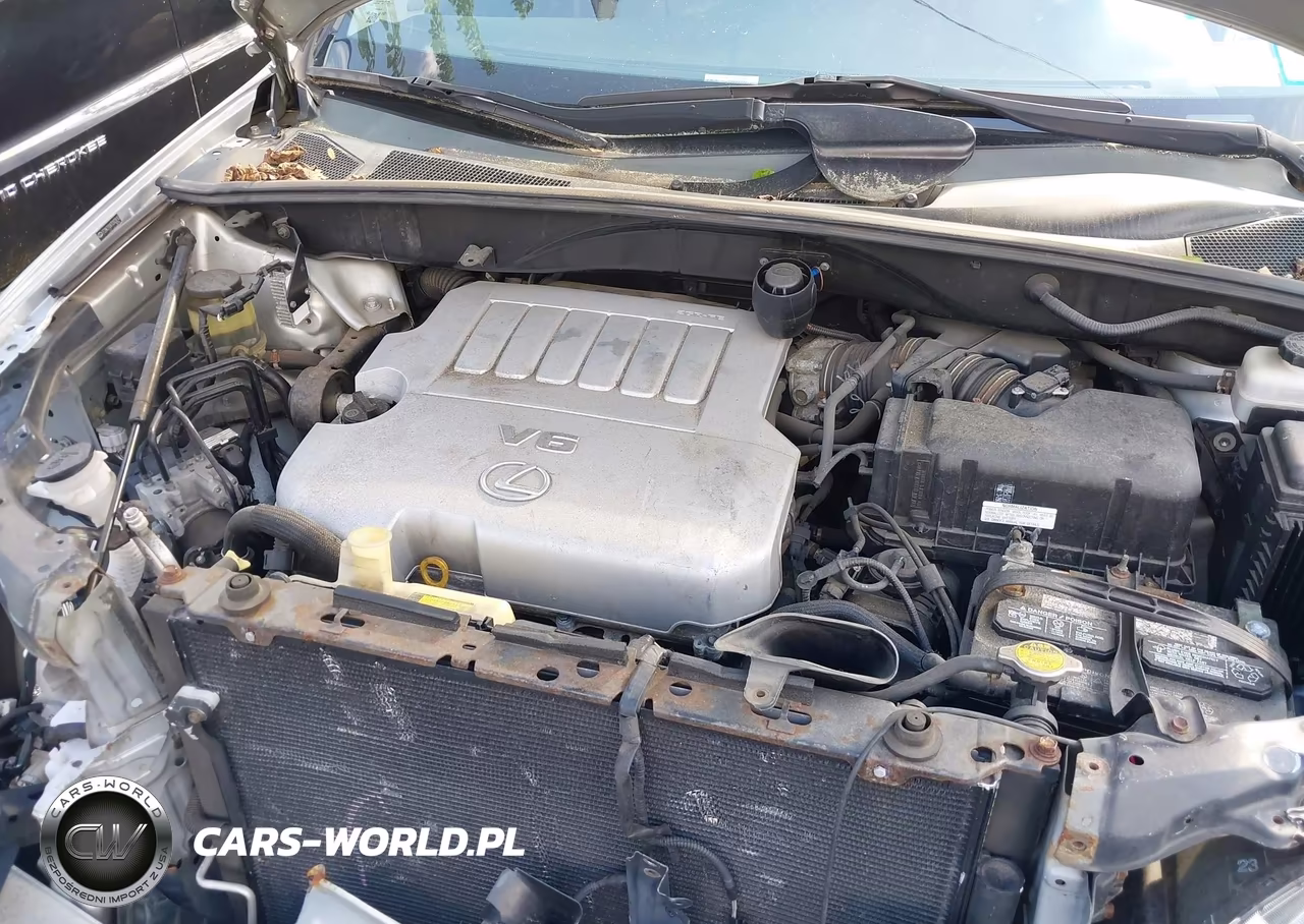 2007 Lexus Rx 350 VIN:2T2HK31UX7C003810 - 10