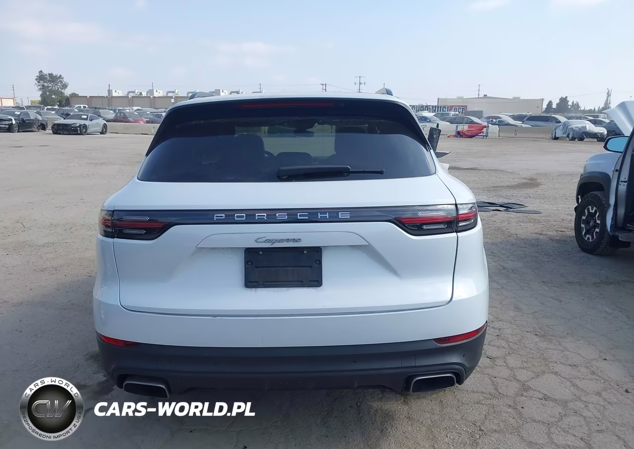 2019 Porsche Cayenne VIN:WP1AA2AY1KDA04358 - 16