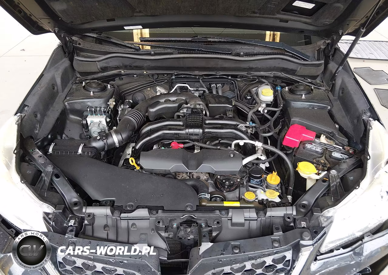 2014 Subaru Forester 2.5I Limited VIN:JF2SJAJC7EH420191 - 10