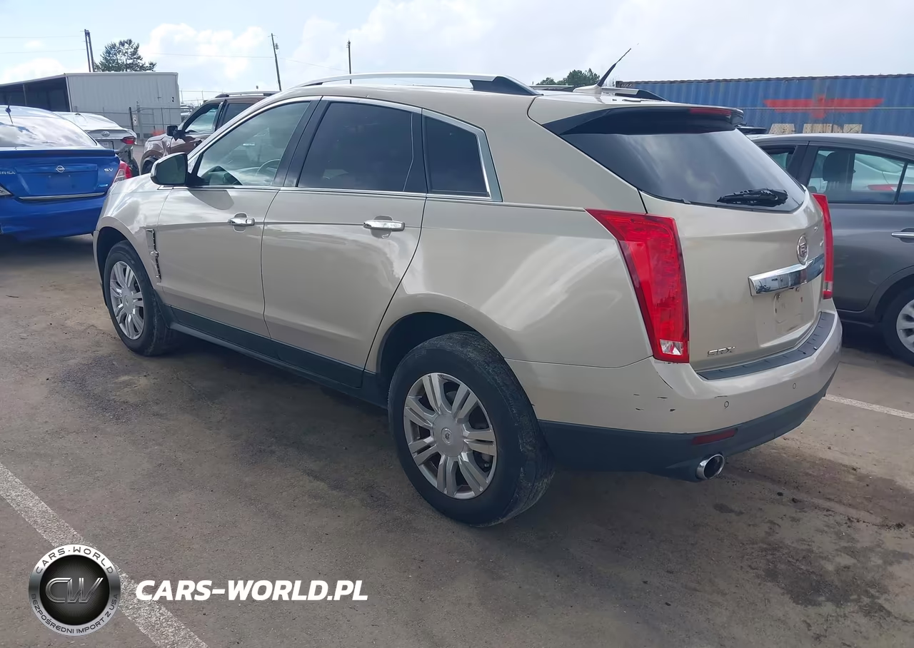 2010 Cadillac Srx Luxury Collection VIN:3GYFNAEY1AS648757 - 3