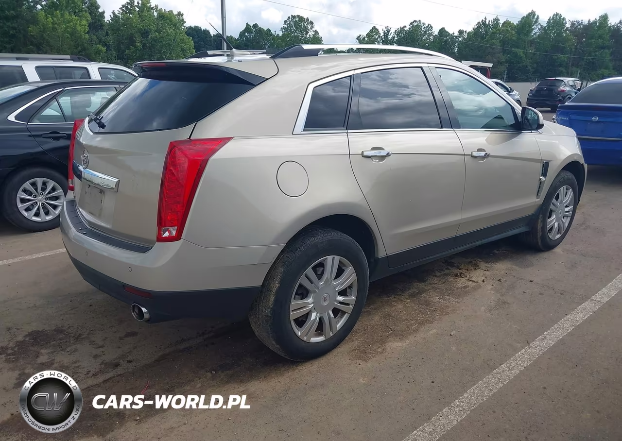 2010 Cadillac Srx Luxury Collection VIN:3GYFNAEY1AS648757 - 4