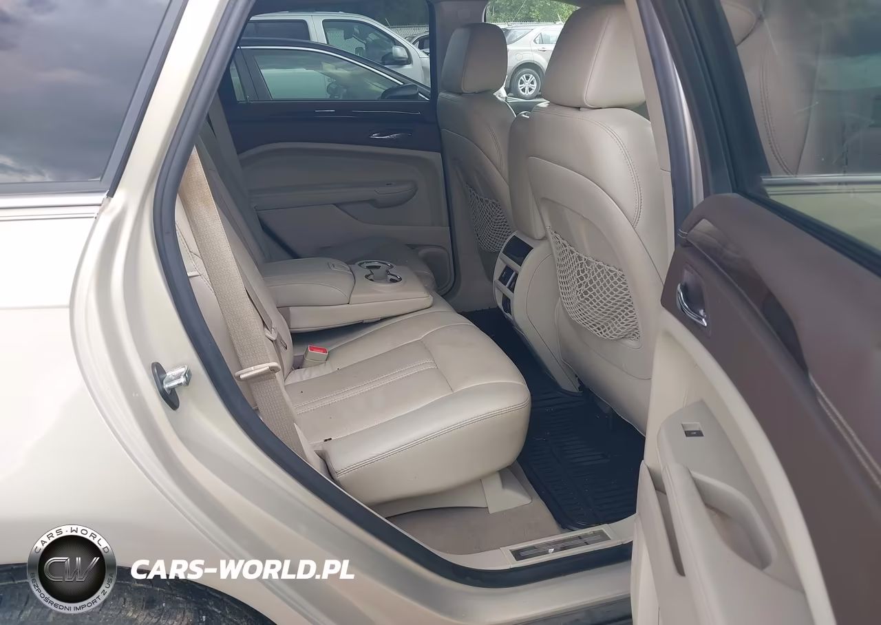 2010 Cadillac Srx Luxury Collection VIN:3GYFNAEY1AS648757 - 8
