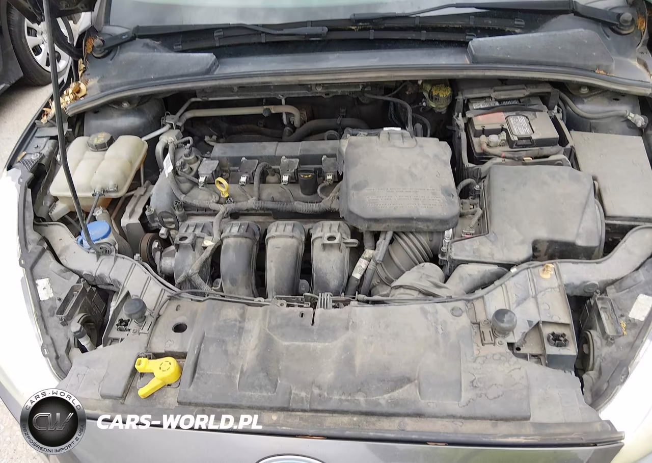 2015 Ford Focus Se VIN:1FADP3K24FL249881 - 10
