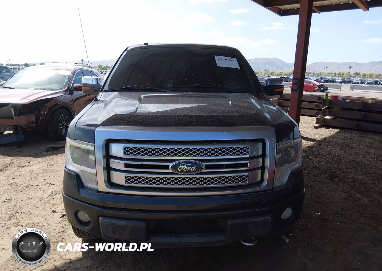 2013 Ford F-150 Platinum VIN:1FTFW1EF1DFA74767 - 12