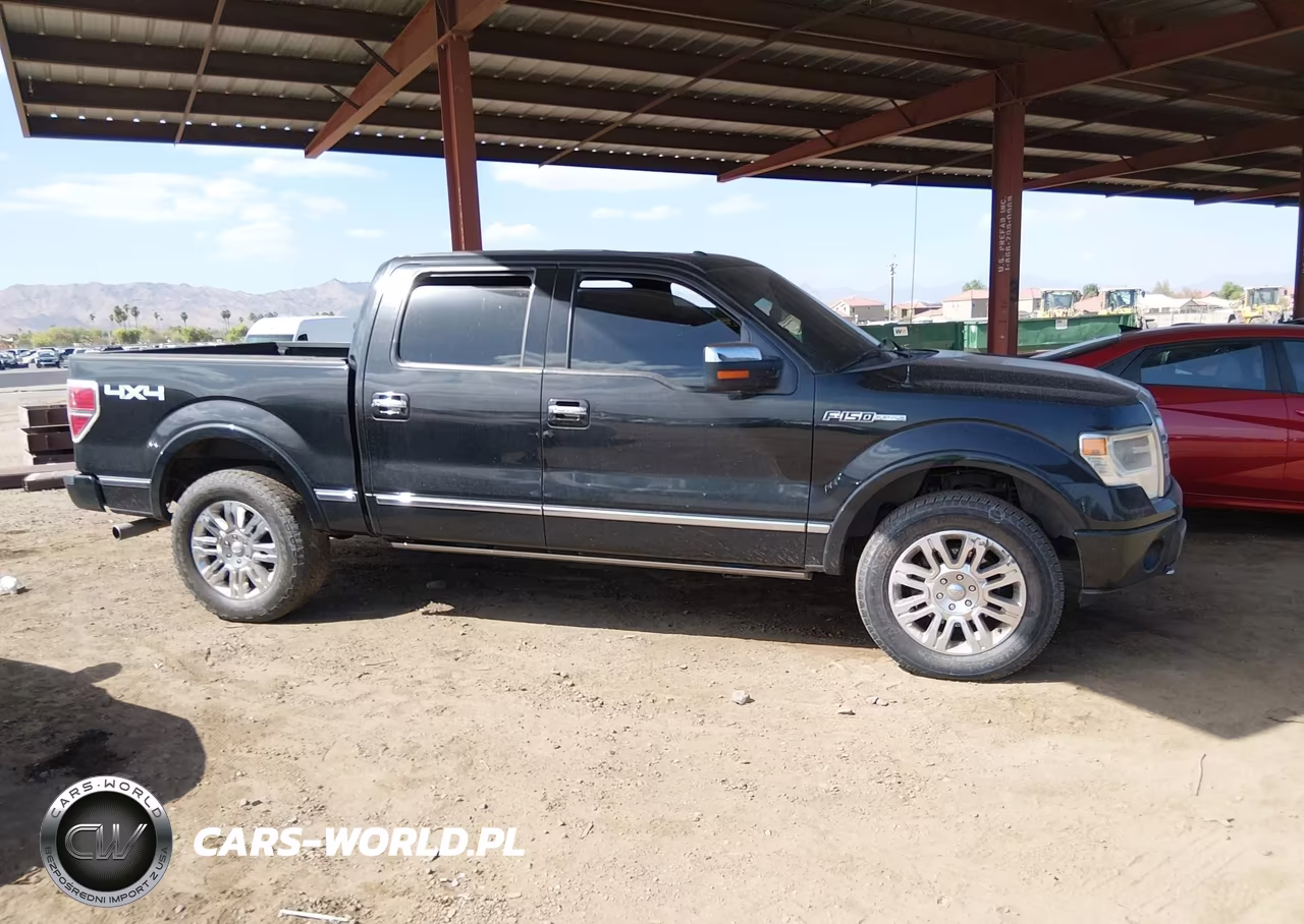 2013 Ford F-150 Platinum VIN:1FTFW1EF1DFA74767 - 13