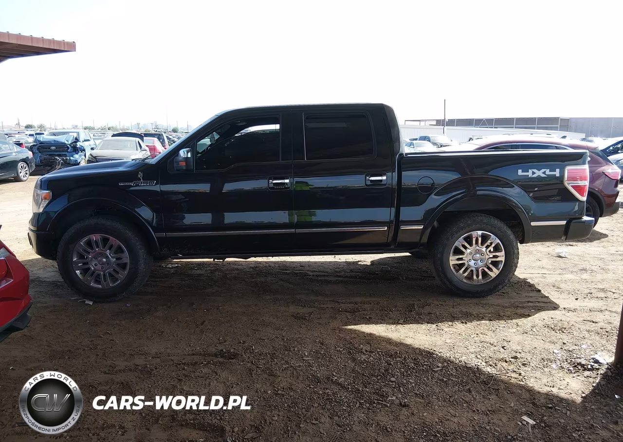 2013 Ford F-150 Platinum VIN:1FTFW1EF1DFA74767 - 14