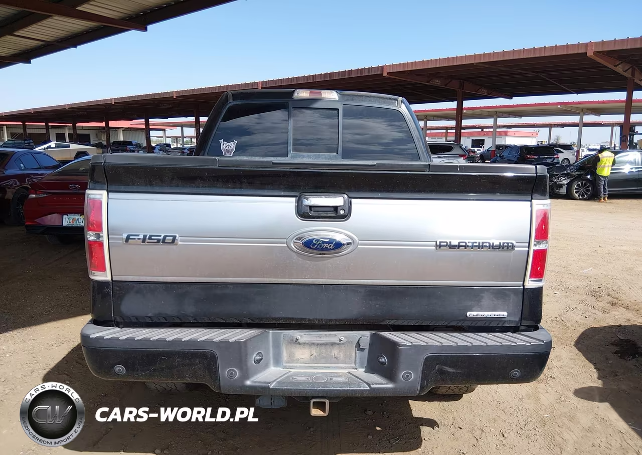 2013 Ford F-150 Platinum VIN:1FTFW1EF1DFA74767 - 16
