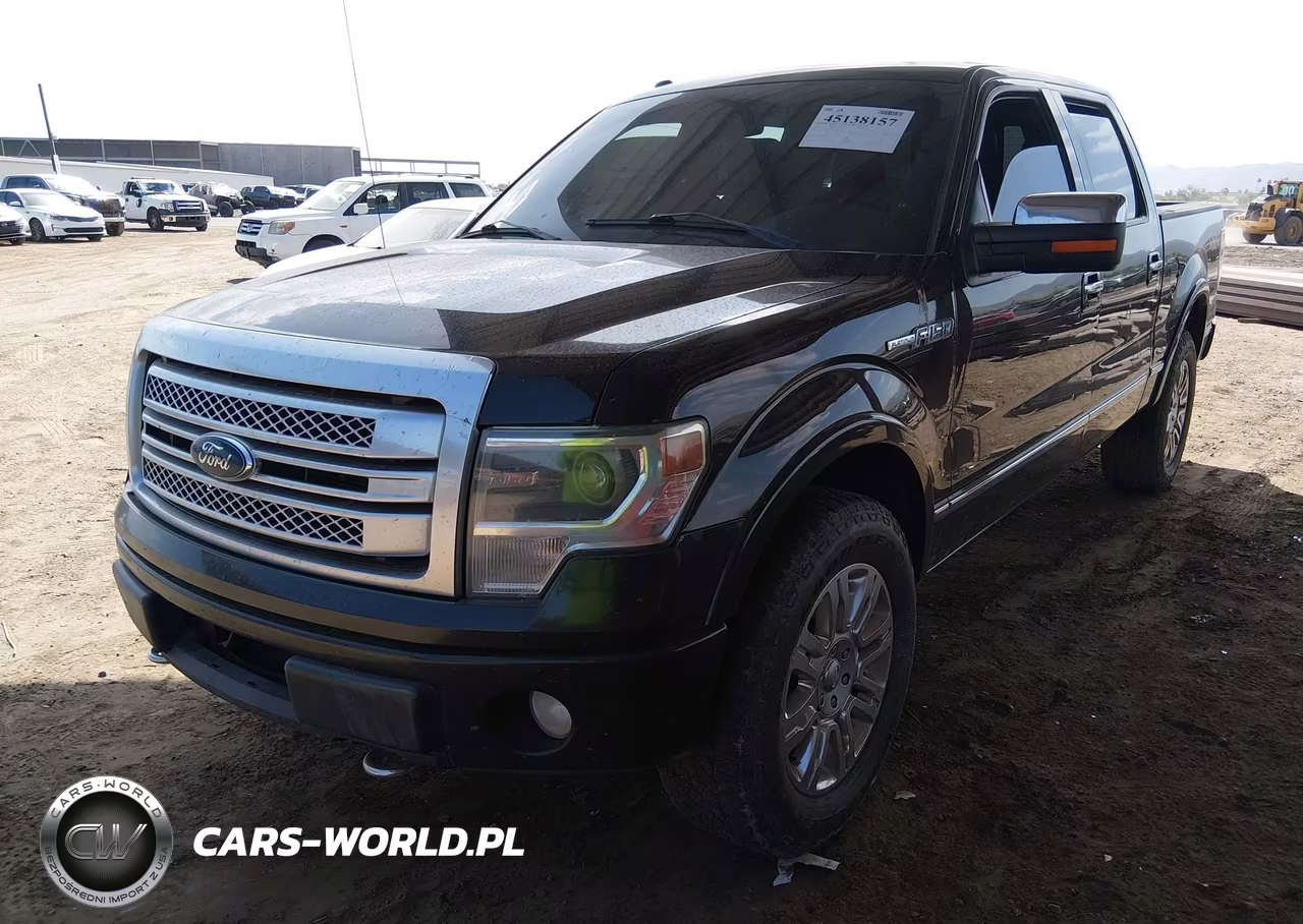 2013 Ford F-150 Platinum VIN:1FTFW1EF1DFA74767 - 2