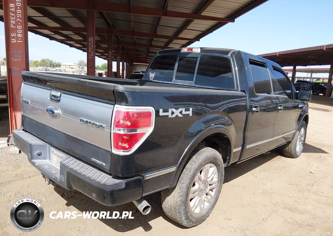 2013 Ford F-150 Platinum VIN:1FTFW1EF1DFA74767 - 4